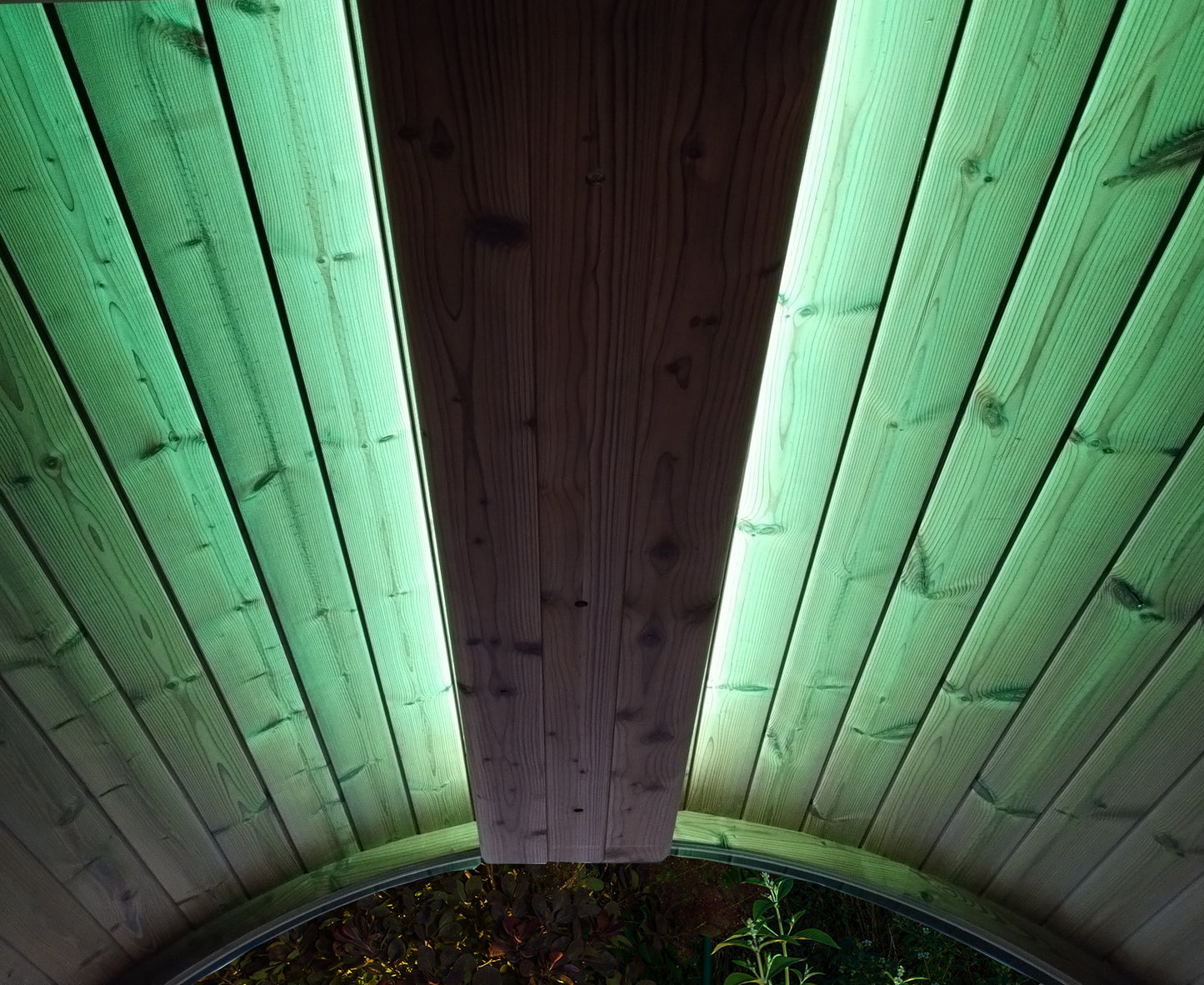 SaunaLife Emood Color LED Lighting for ERGO Sauna – Thermo-Aspen, RGB Chromotherapy, Wi-Fi & Remote