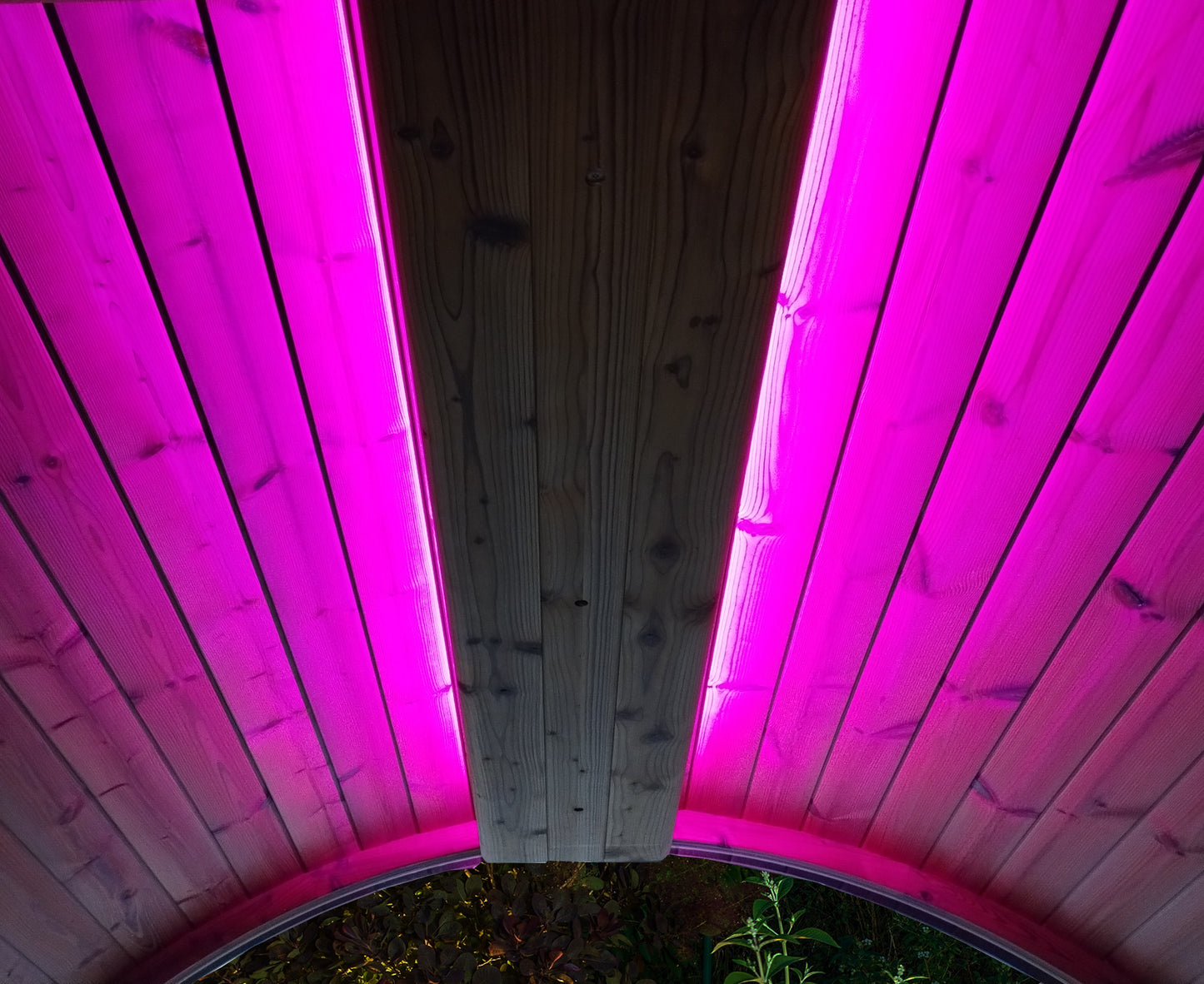 SaunaLife Emood Color LED Lighting for ERGO Sauna – Thermo-Aspen, RGB Chromotherapy, Wi-Fi & Remote