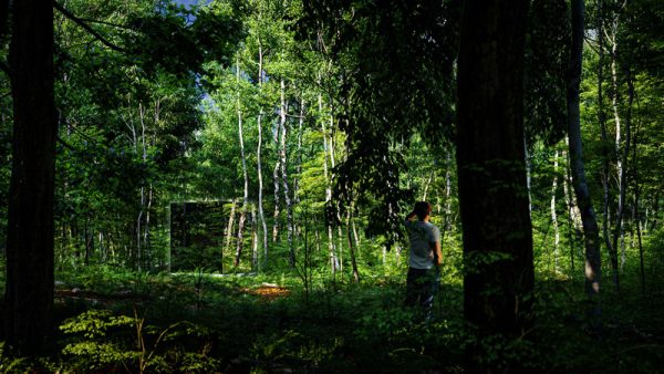 Thermasol Vue Front Panoramic Glass, 3–4 Person - Outdoor Traditional Sauna