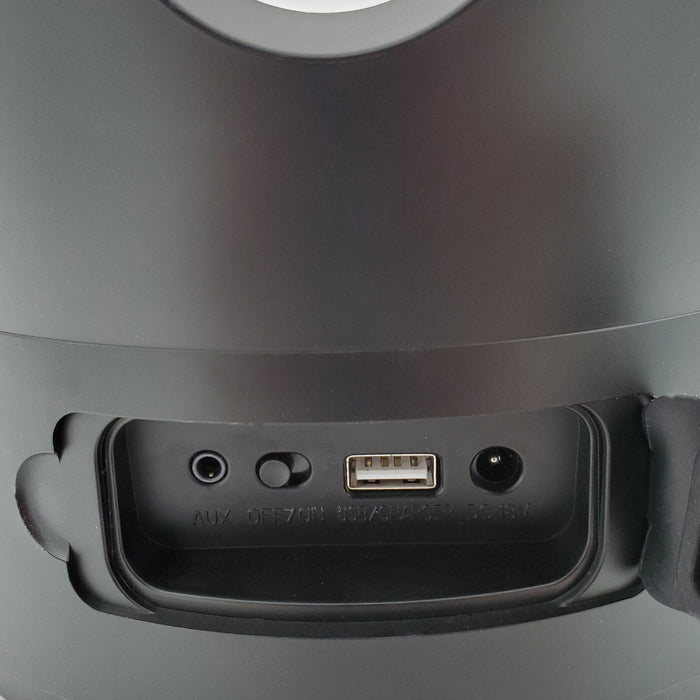 SaunaLife SaunaZone Bluetooth Speaker Sauna Bucket with LED Lights and Ice Vessel – Black